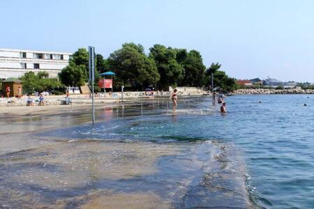 Murin Delfin Umag Exteriör bild