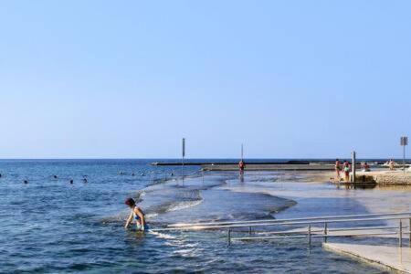 Murin Delfin Umag Exteriör bild