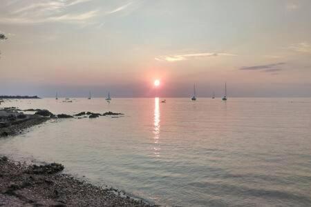 Murin Delfin Umag Exteriör bild